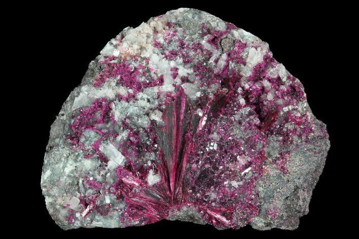 Vibrant, Magenta Erythrite Crystals - Morocco #93597